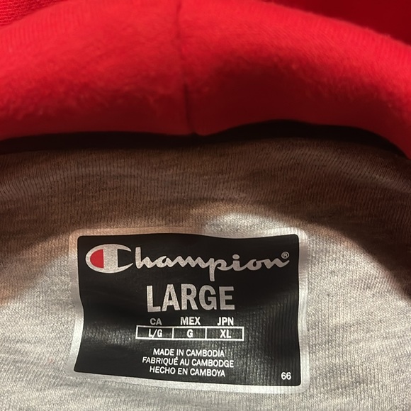 Champions Hoodie - Picture 4 of 7